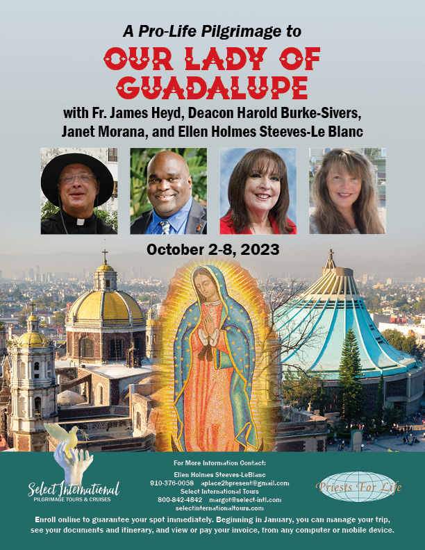 A Pro-Life Pilgrimage To Our Lady of Guadalupe In Mexico October 2 - 8, 2023 - 23MJ10MXEH