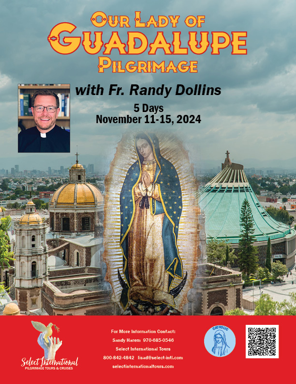 Our Lady of Guadalupe Pilgrimage with Fr. Randy Dollins - November 11-15, 2024 - 24LD11MXRD