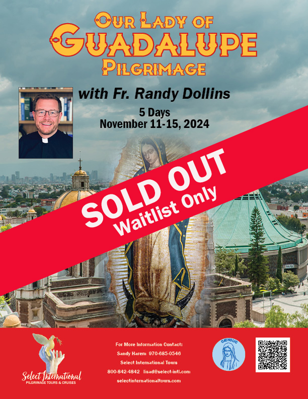 Our Lady of Guadalupe Pilgrimage with Fr. Randy Dollins - November 11-15, 2024 - 24LD11MXRD