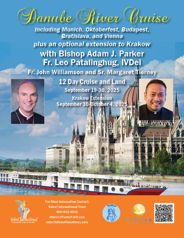 Danube River Cruise Including Munich, Vienna, Bratislava, and Budapest with Bishop Adam Parker and Fr. Leo Patalinghug