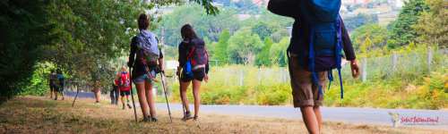 Walk the Camino de Santiago with Select International Tours