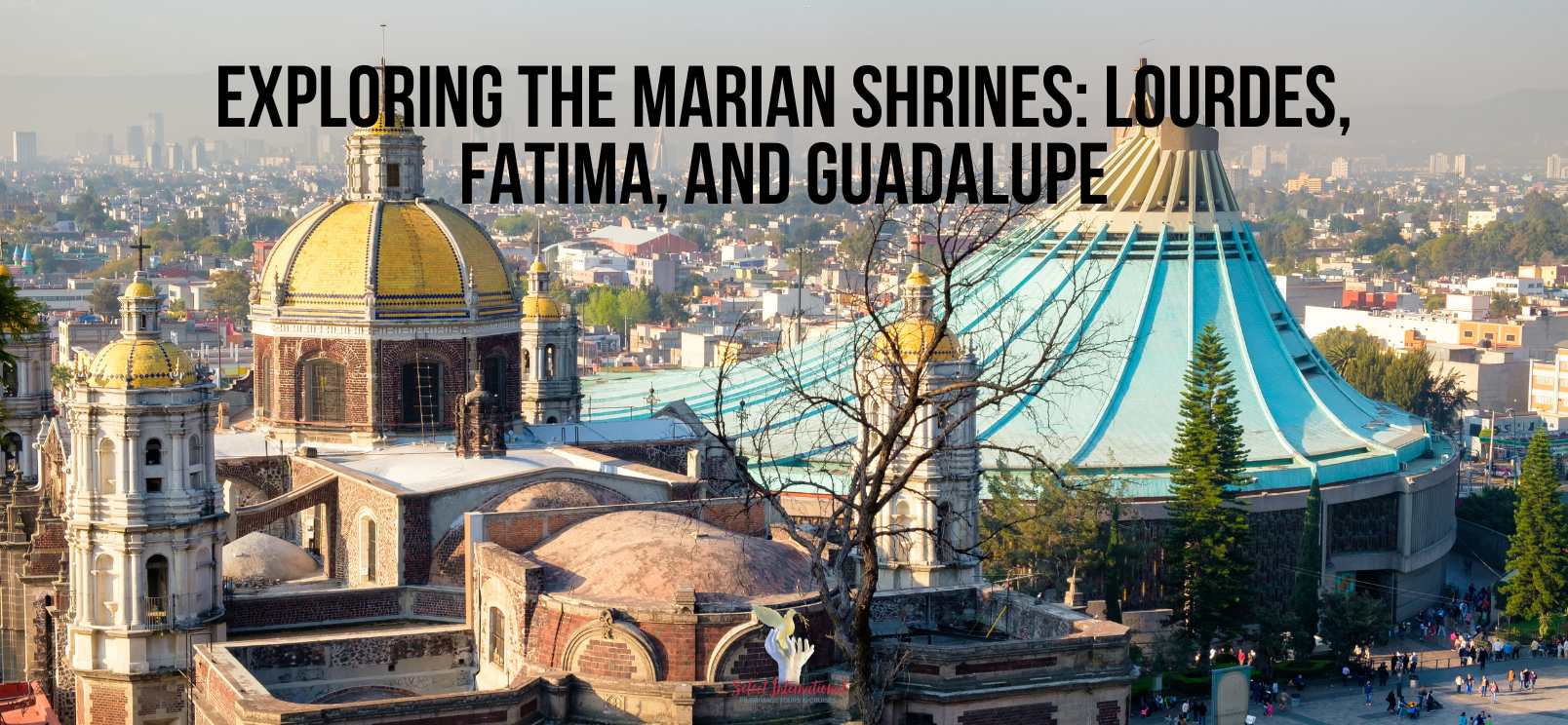 Exploring the Marian Shrines: Lourdes, Fatima, and Guadalupe