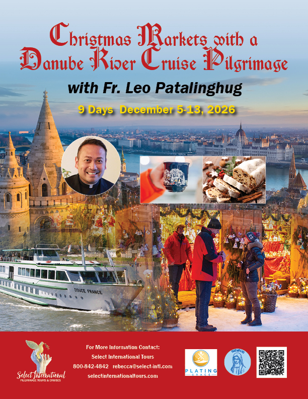 Christmas Markets with a Danube River Cruise Pilgrimage with Fr. Leo Patalinghug